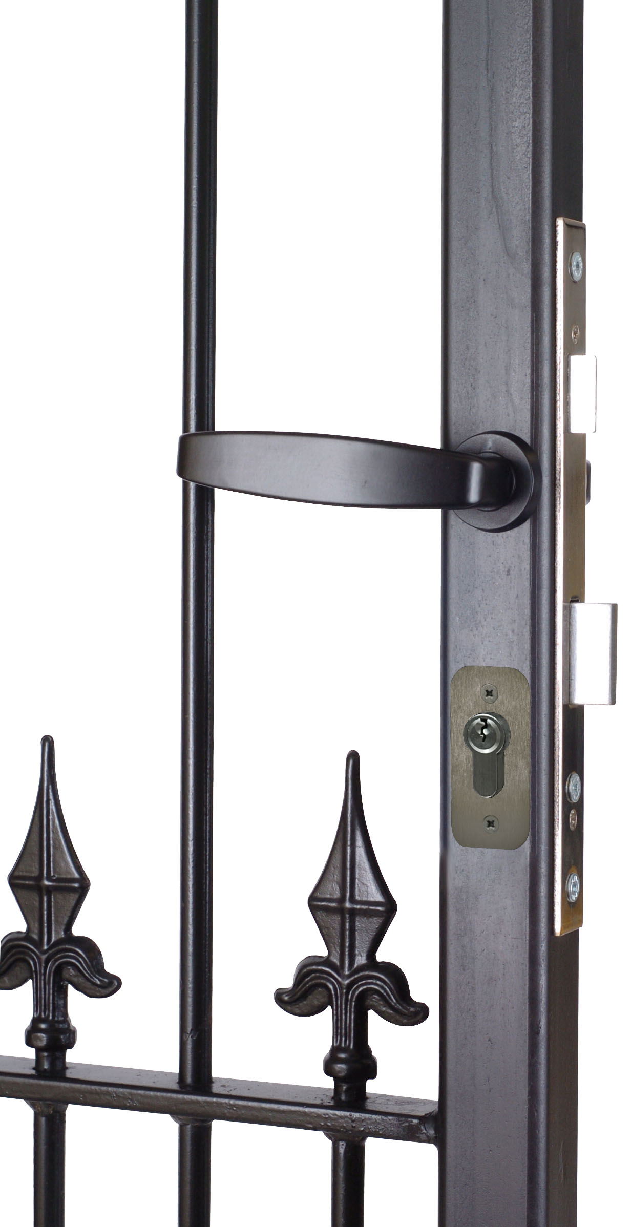 Narrow Latch Deadlock Gatemaster Locks