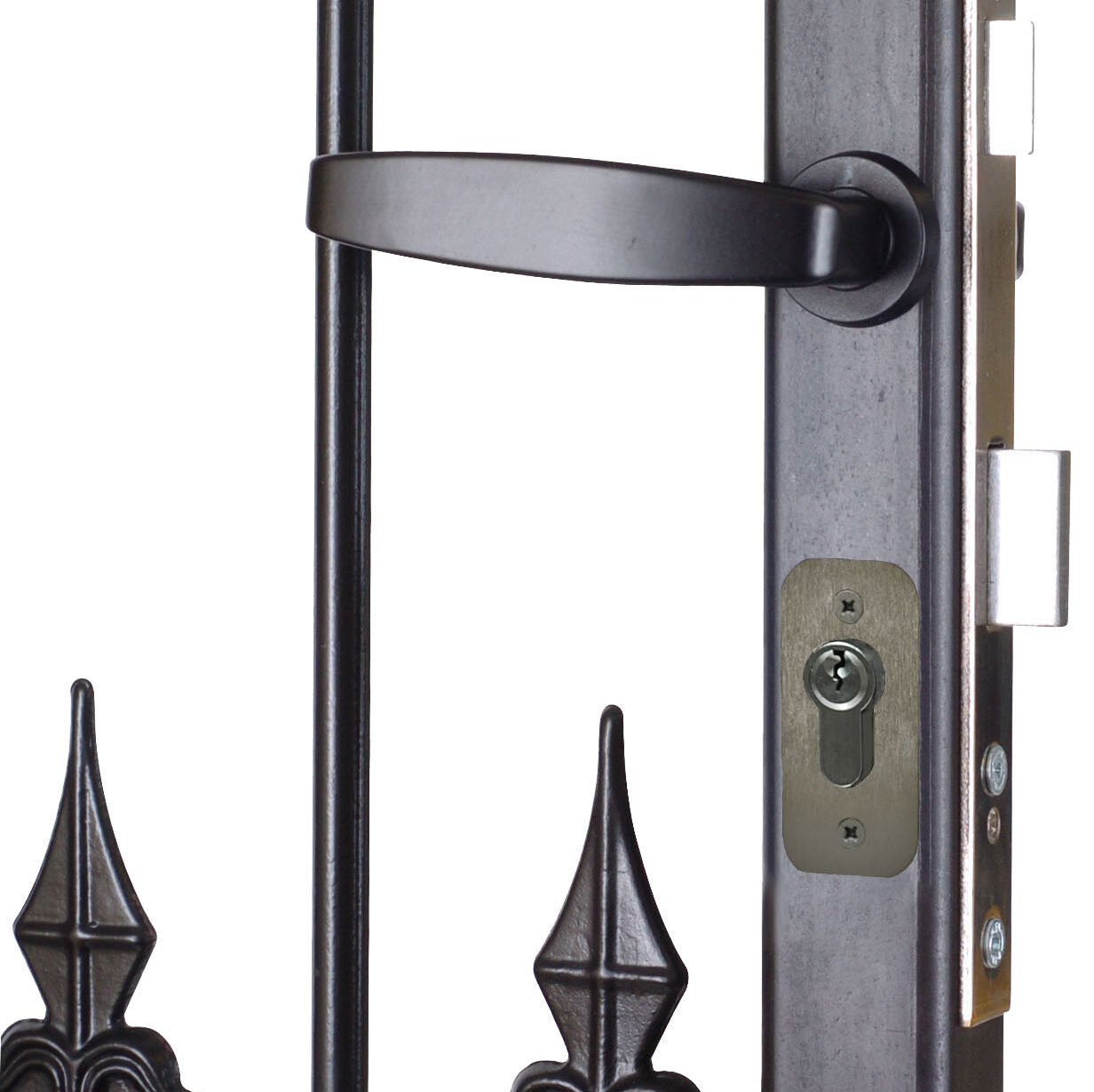 Mortise insert lock in metal gate