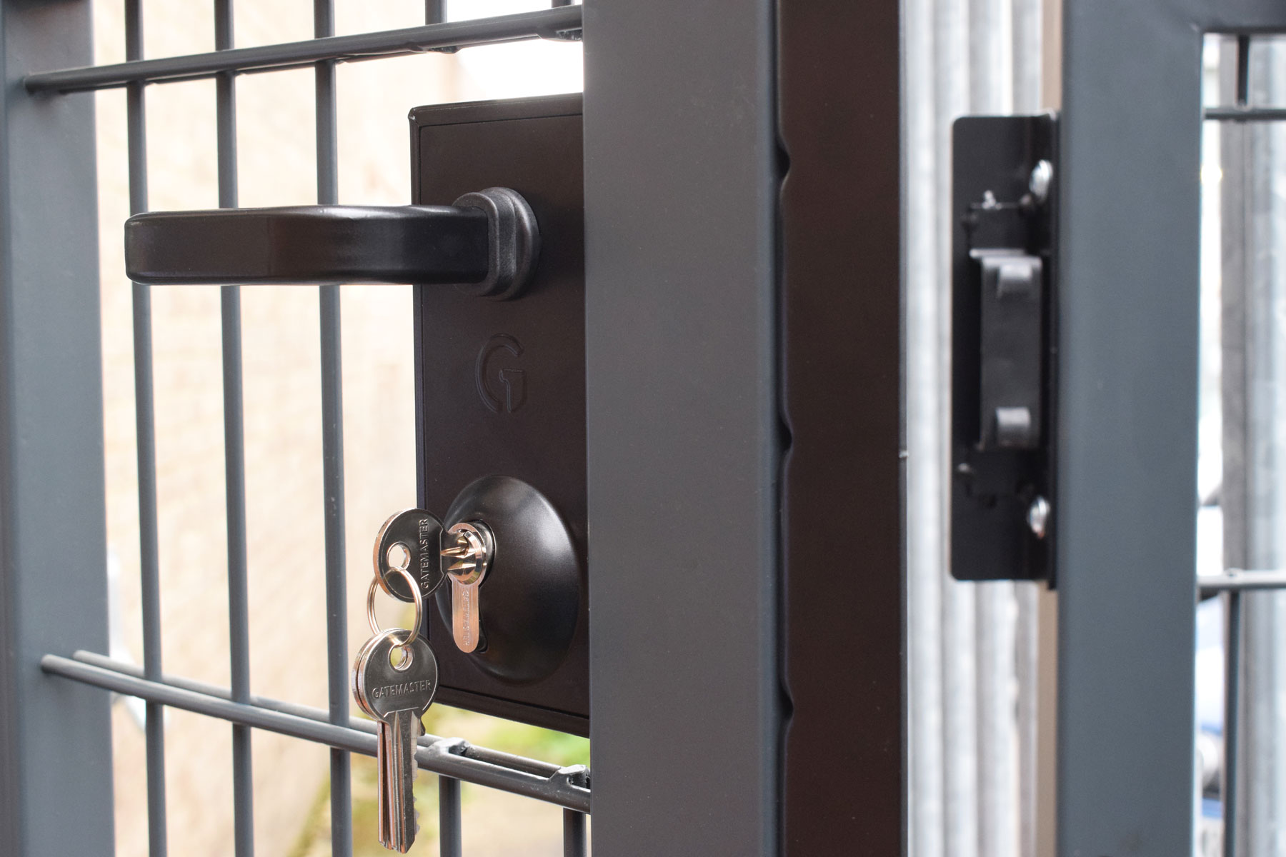 Black gate lock with keys on metal gate